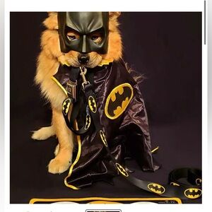 Dog Batman Leash and Collar